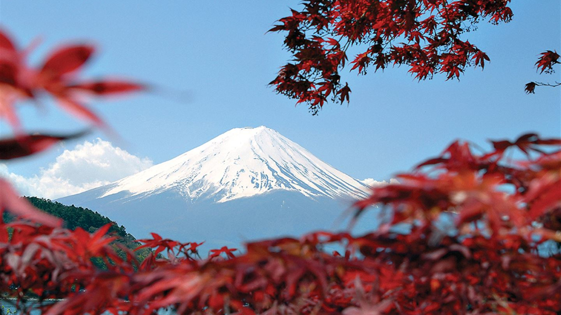 Click to view large image Active Japan: Mt Fuji & Hokkaido