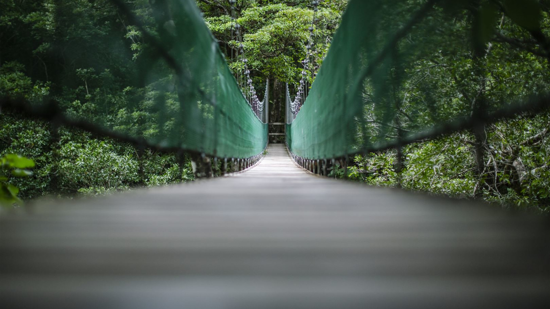 Click to view large image Costa Rica: Monteverde and La Fortuna