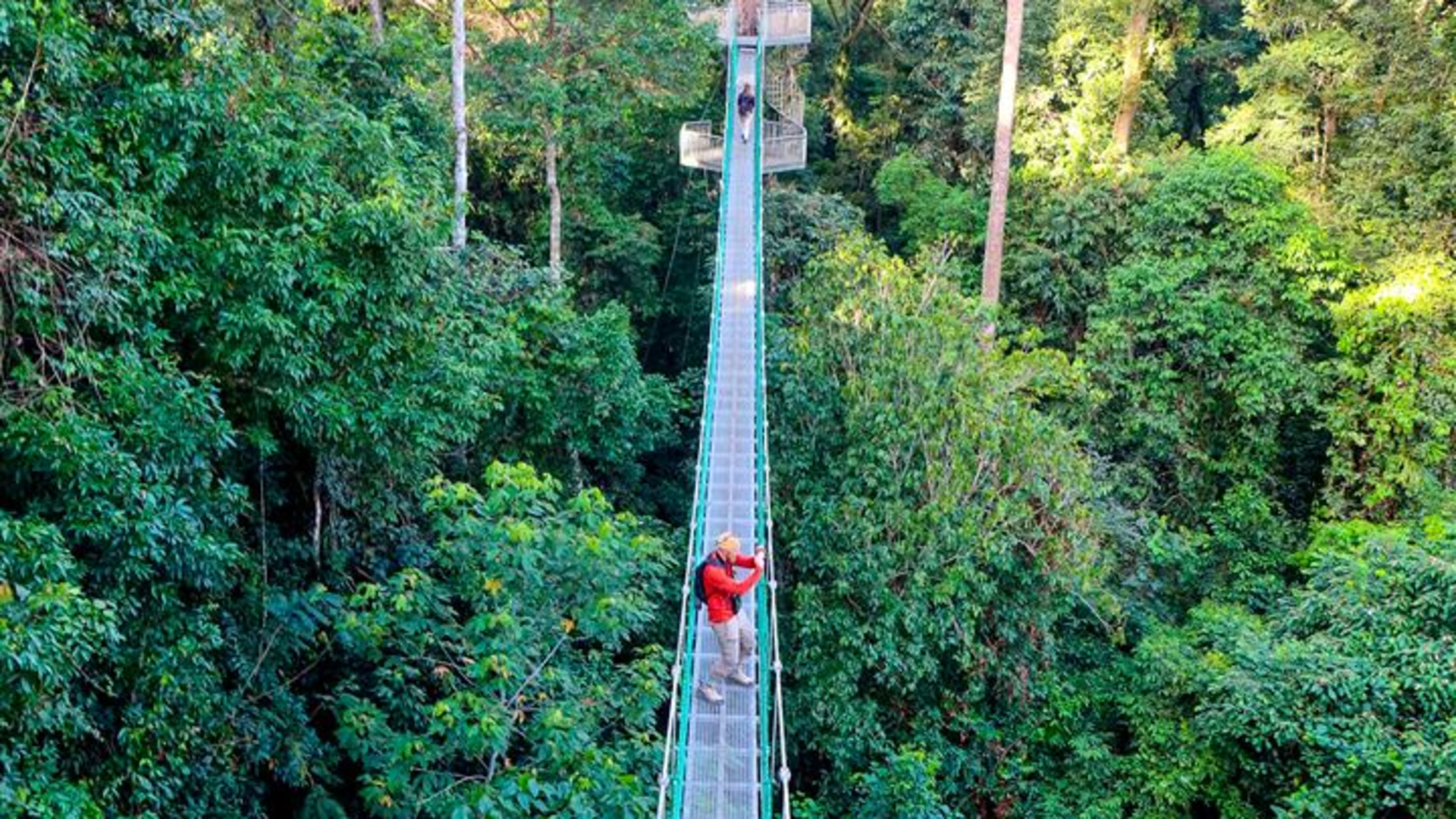 Click to view large image Borneo Wildlife Discoverer