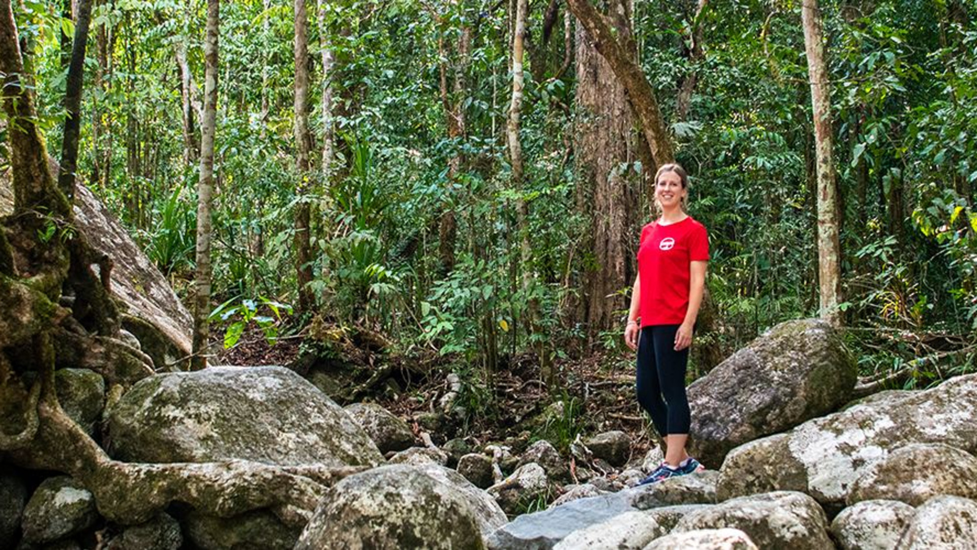 Click to view large image Best of Cairns, Great Barrier Reef & Daintree