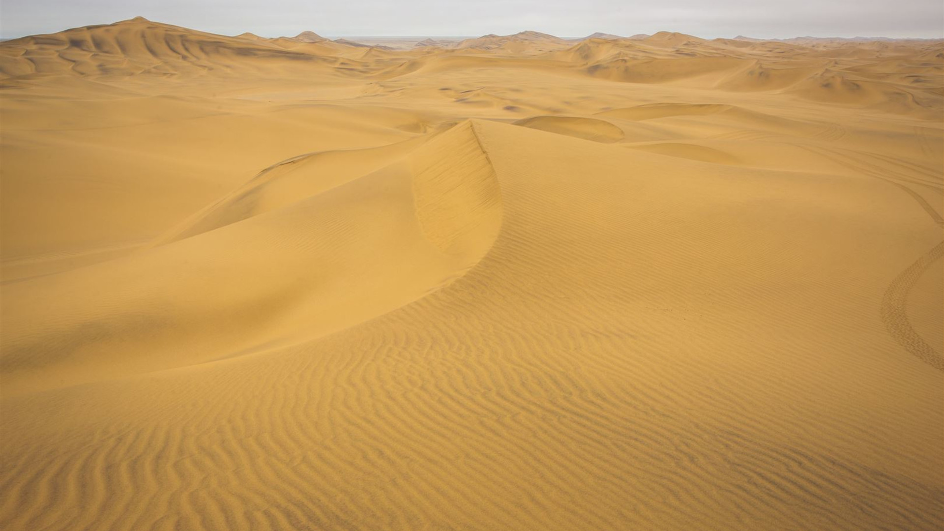 Click to view large image Cape & Dunes Northbound: Wildlife & Starry Night Skies