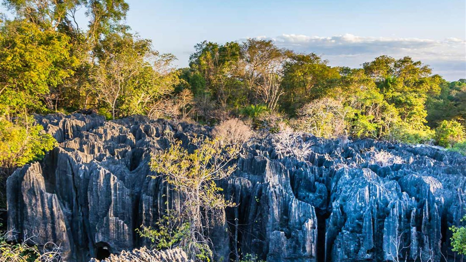 Click to view large image Madagascar in Depth