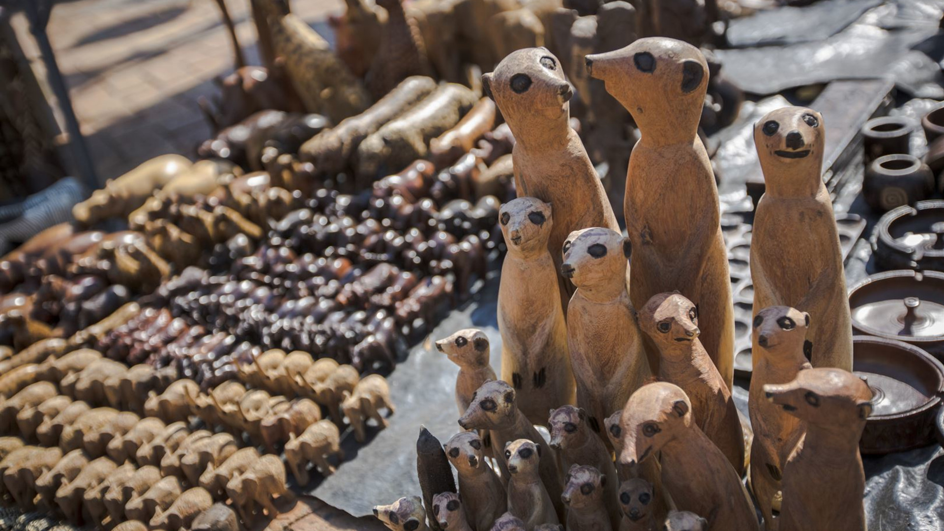 Click to view large image Journeys: Wonders of Namibia