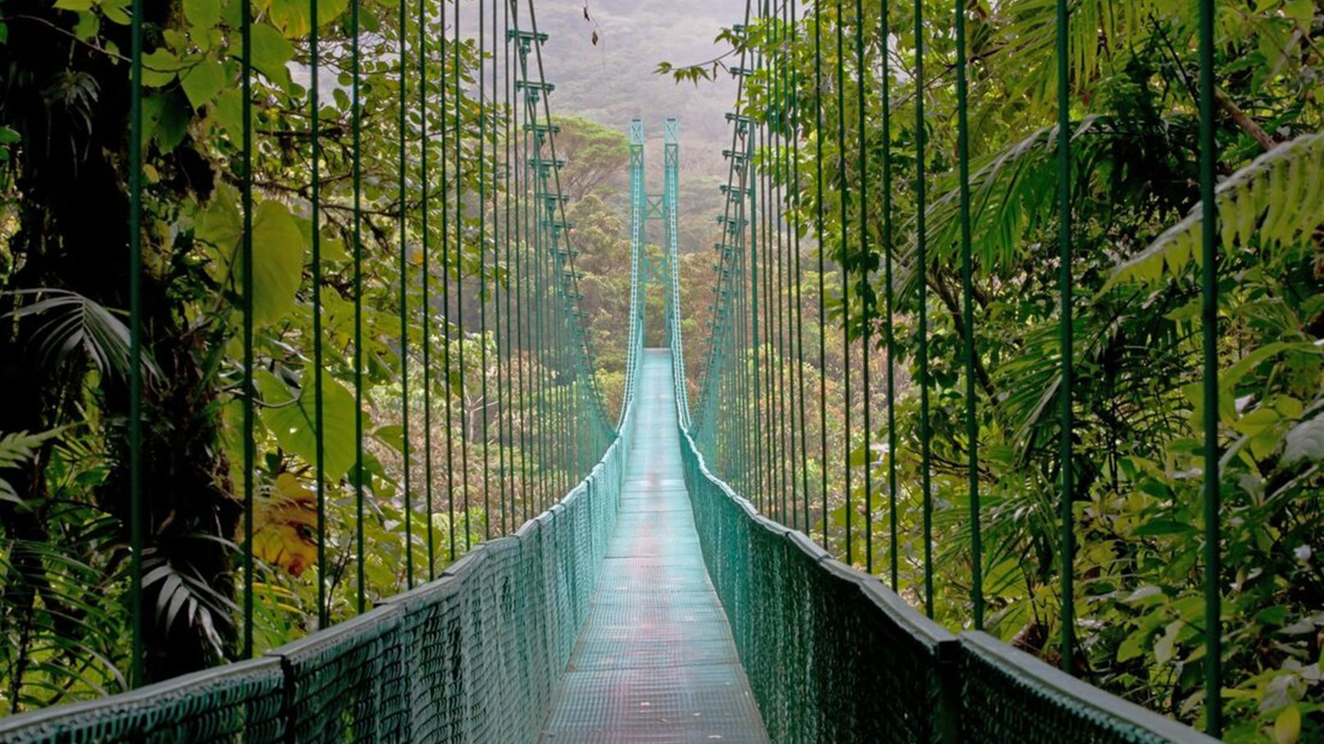 Click to view large image One Week In Costa Rica