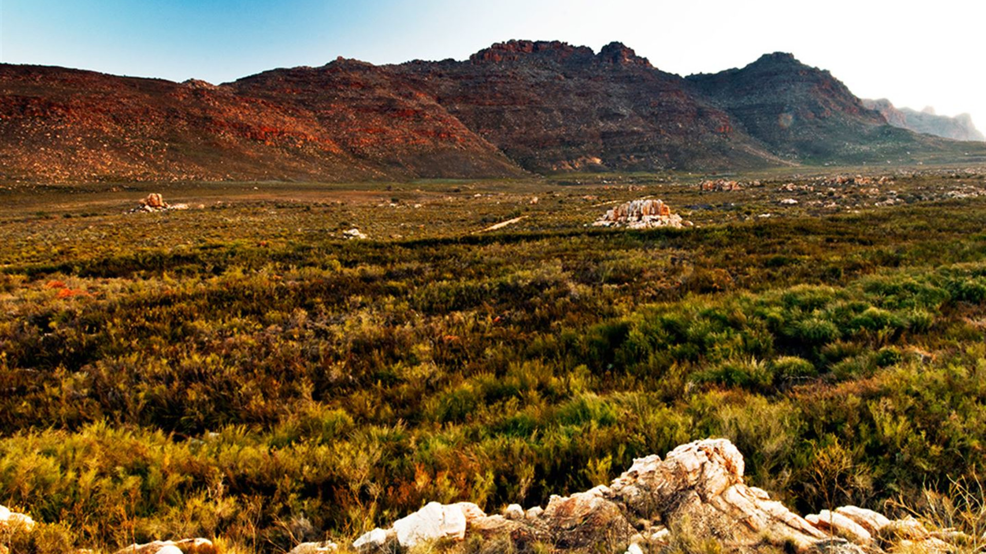 Click to view large image Cape & Dunes Southbound: Desert Camping & Safari Drives