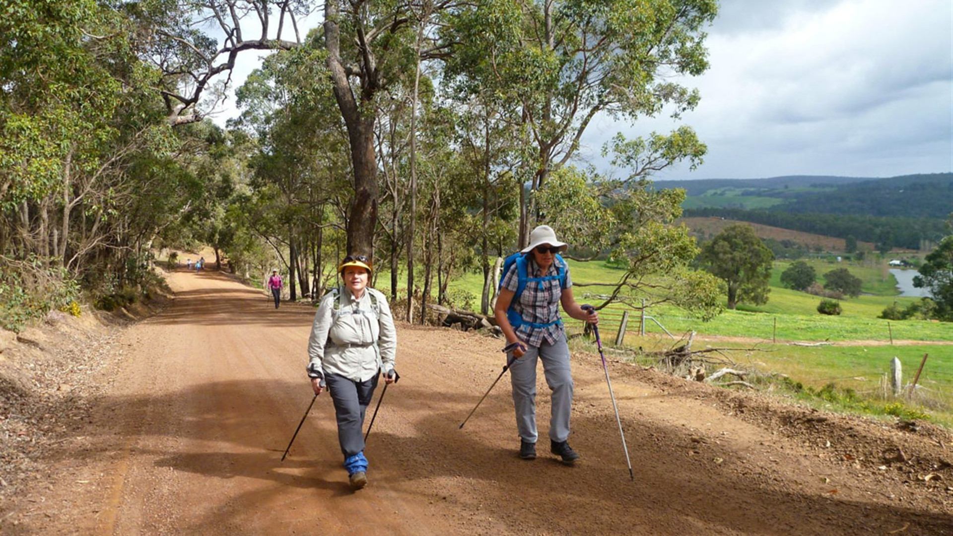 Click to view large image Hike the Bibbulmun Track: Collie to Balingup