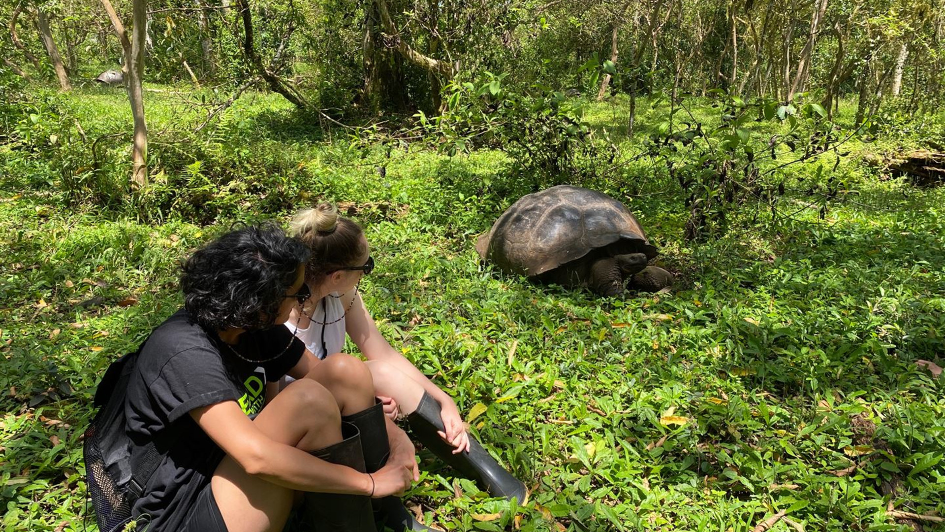 Click to view large image Galapagos – West and Central Islands aboard the Reina Silvia Voyager (Cruise Only)