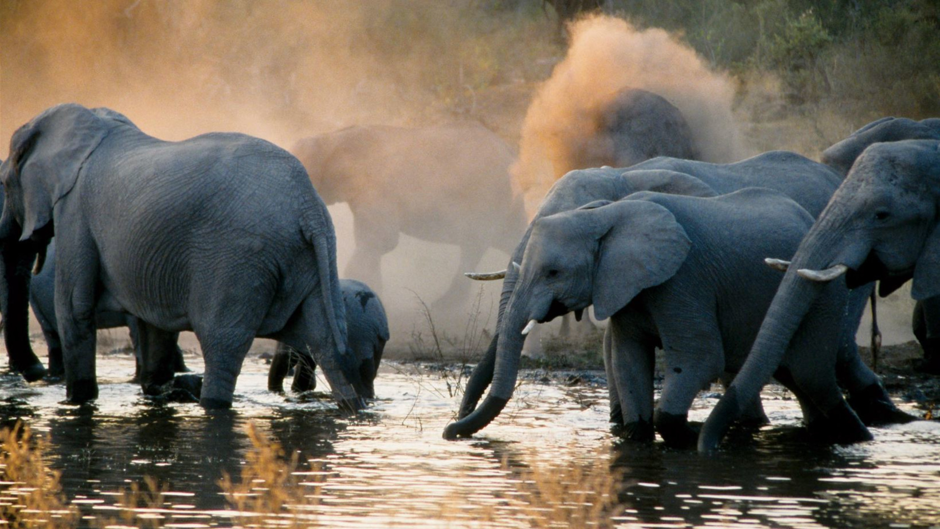 Click to view large image Botswana Highlights
