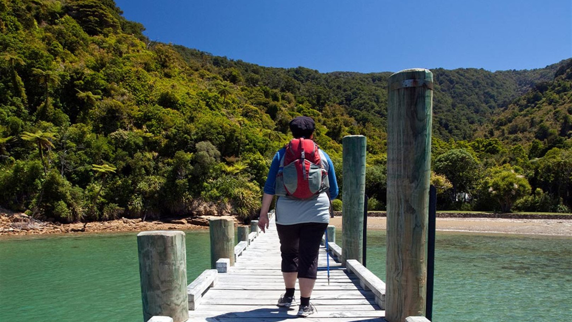 Click to view large image Walk New Zealand's Abel Tasman & Queen Charlotte
