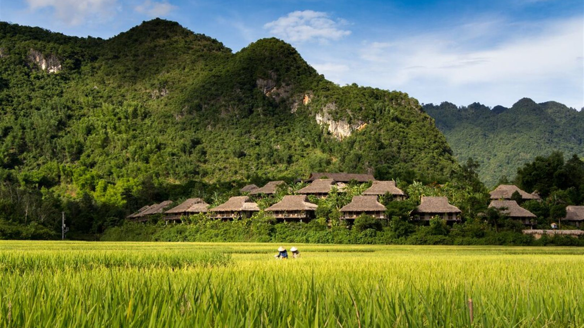 Click to view large image Cycle Northern Vietnam