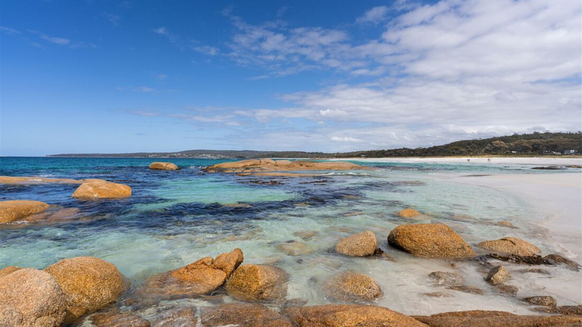 Click to view large image Walk Tasmania's Bay of Fires
