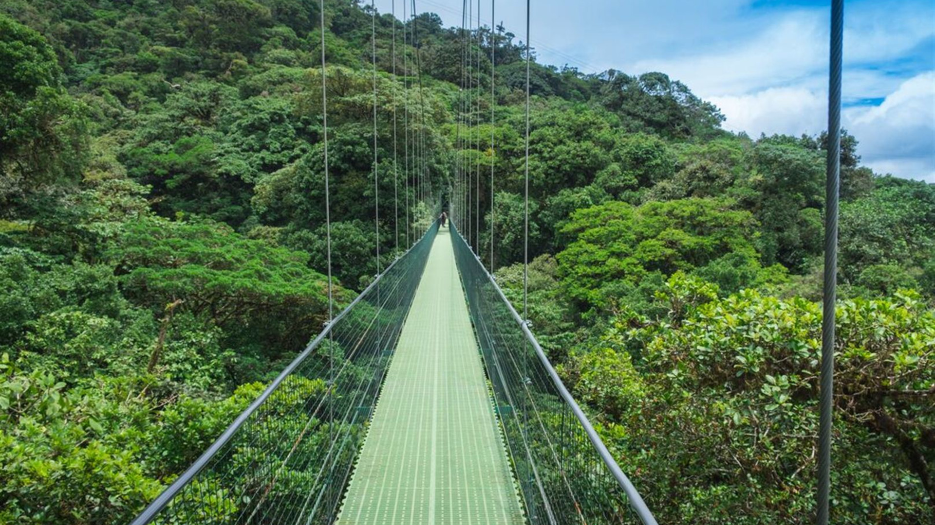 Click to view large image Classic Costa Rica