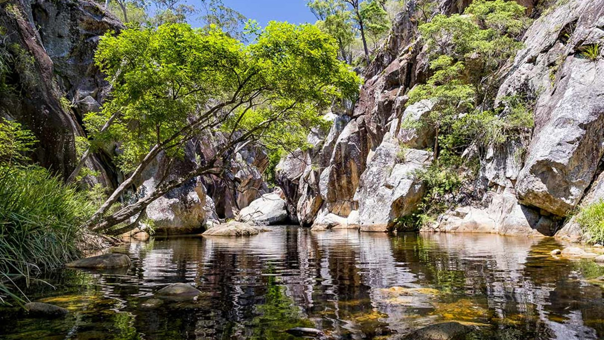 Click to view large image Walk Queensland's Scenic Rim