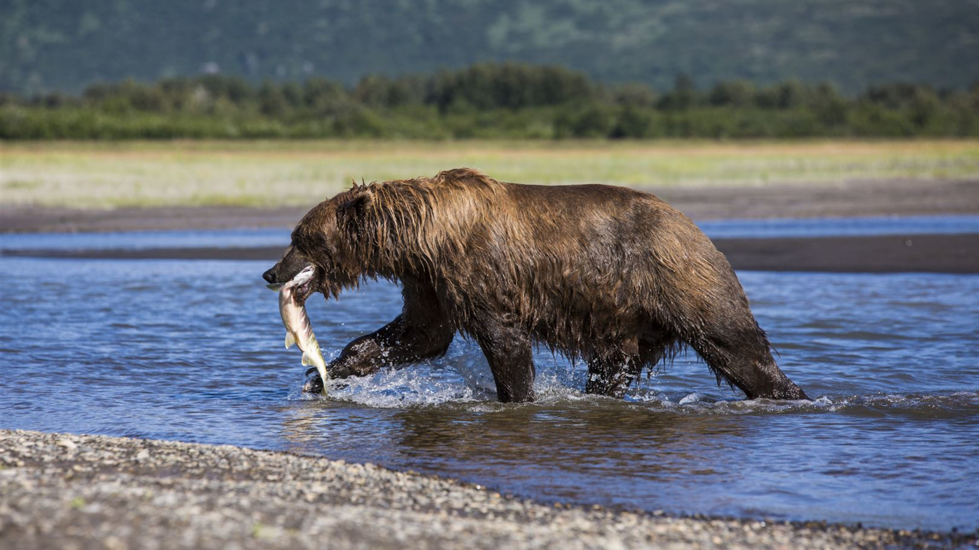 Click to view large image Alaska Family Journey: Wilderness Explorer