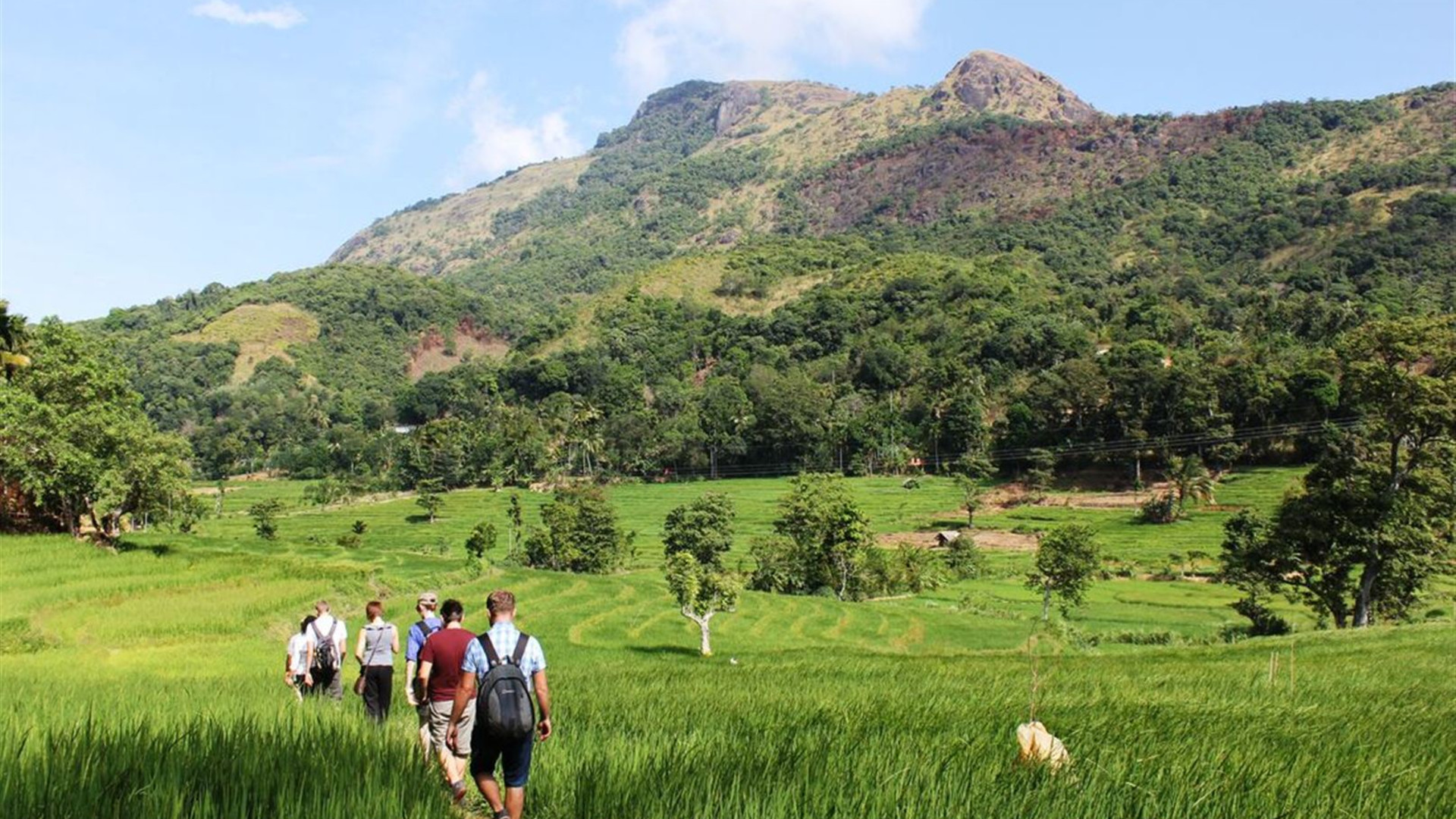 Click to view large image Sri Lanka: Hike, Bike & Kayak
