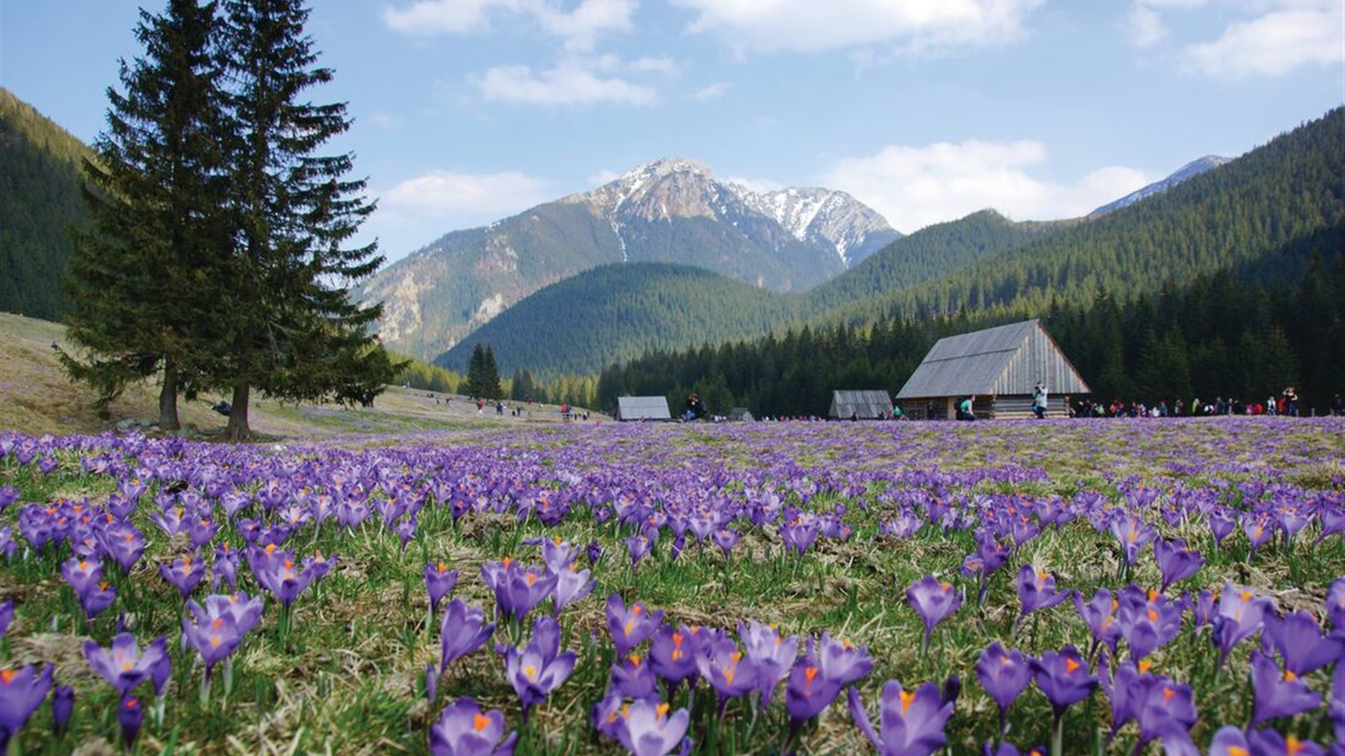 Click to view large image Best of Central Europe