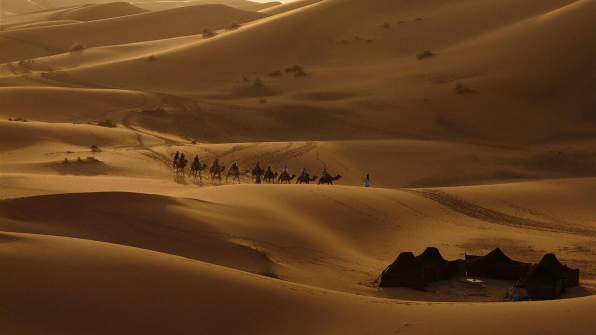 Click to view large image Morocco Uncovered