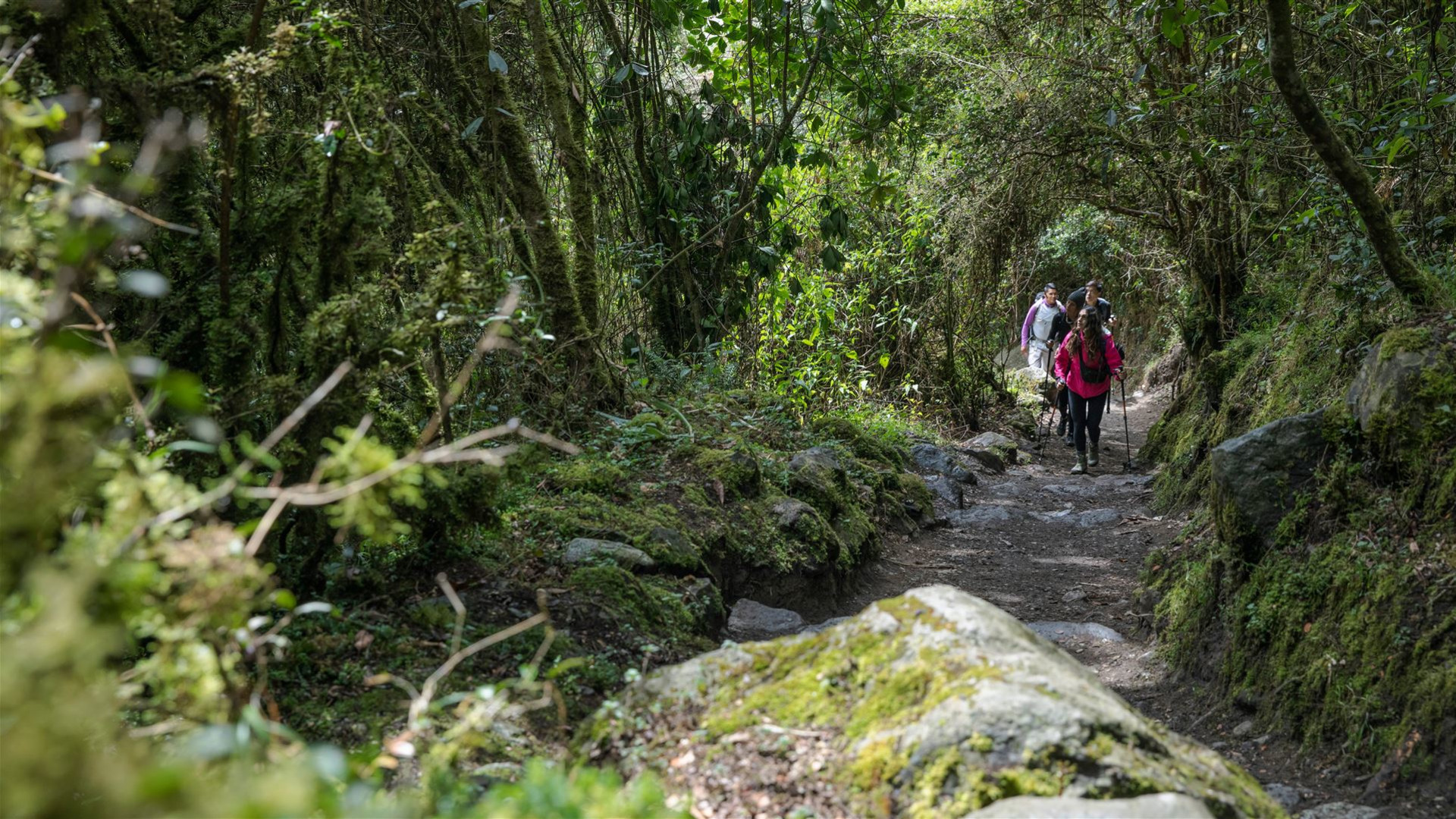 Click to view large image Peru: Inca Trail & the Amazon