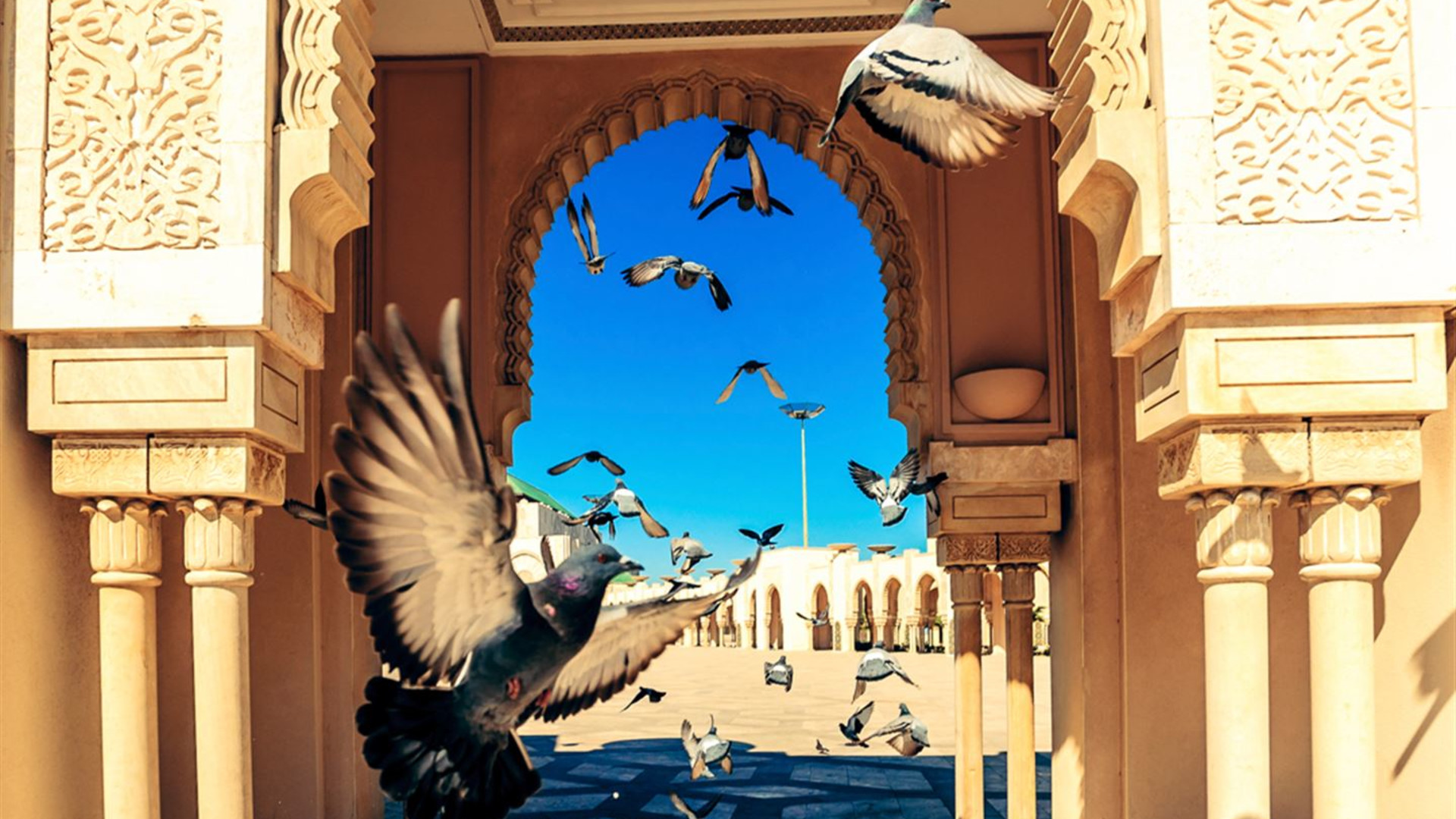 Click to view large image Morocco: North, South & Marrakech
