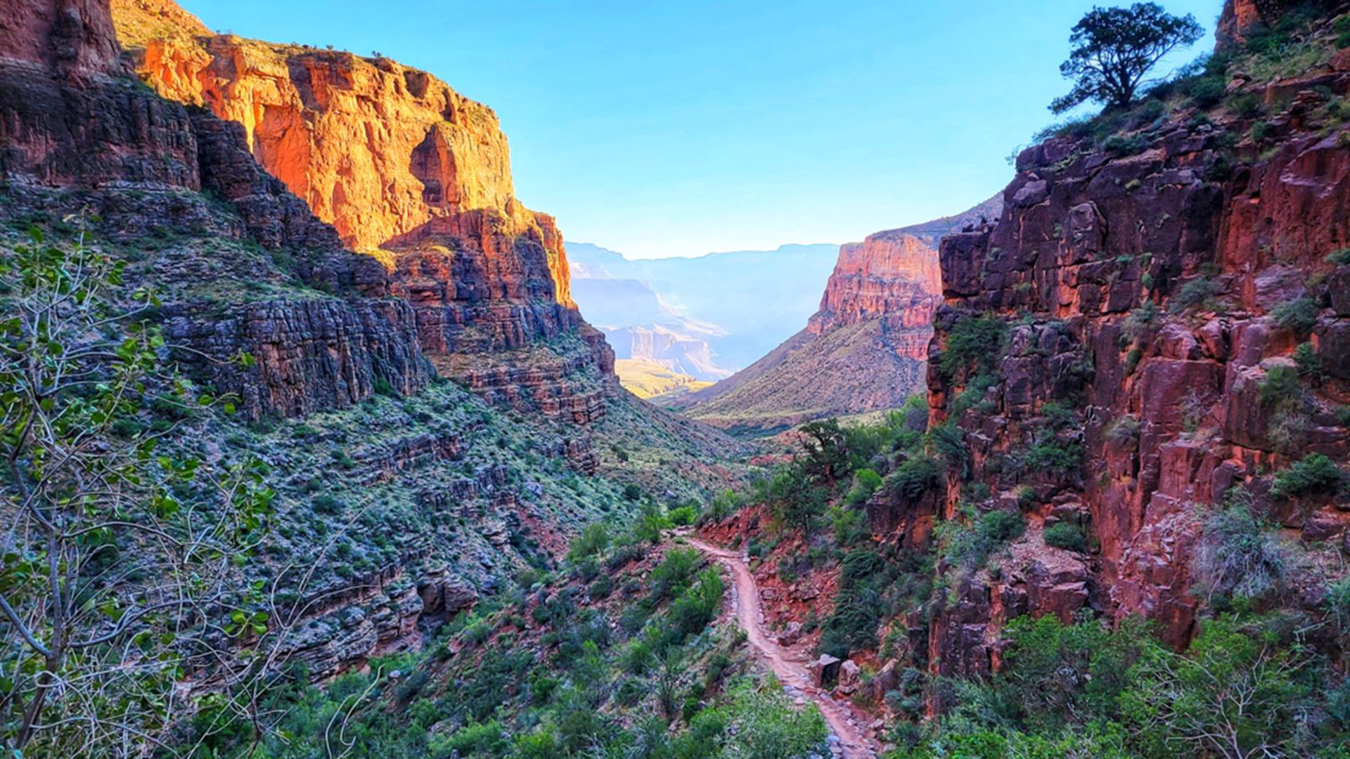 Click to view large image Premium Hiking in the Grand Canyon