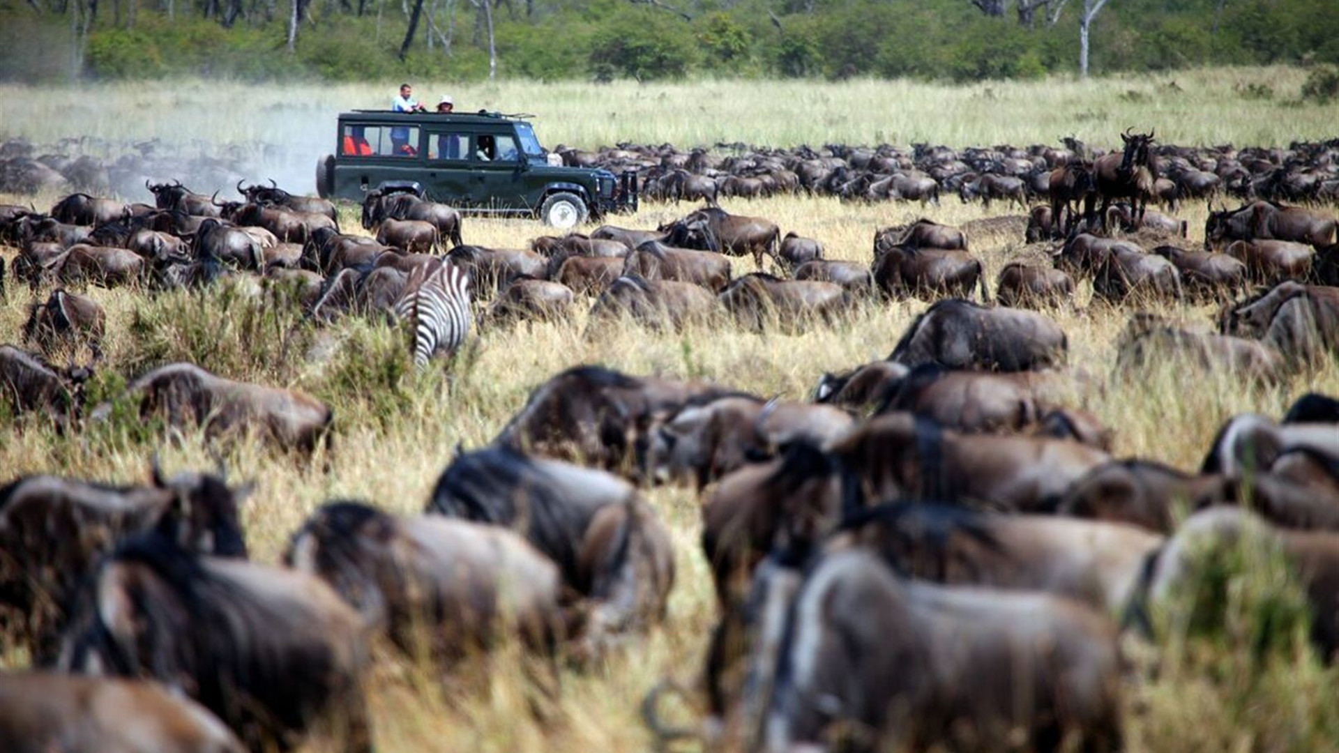 Click to view large image Essential East Africa