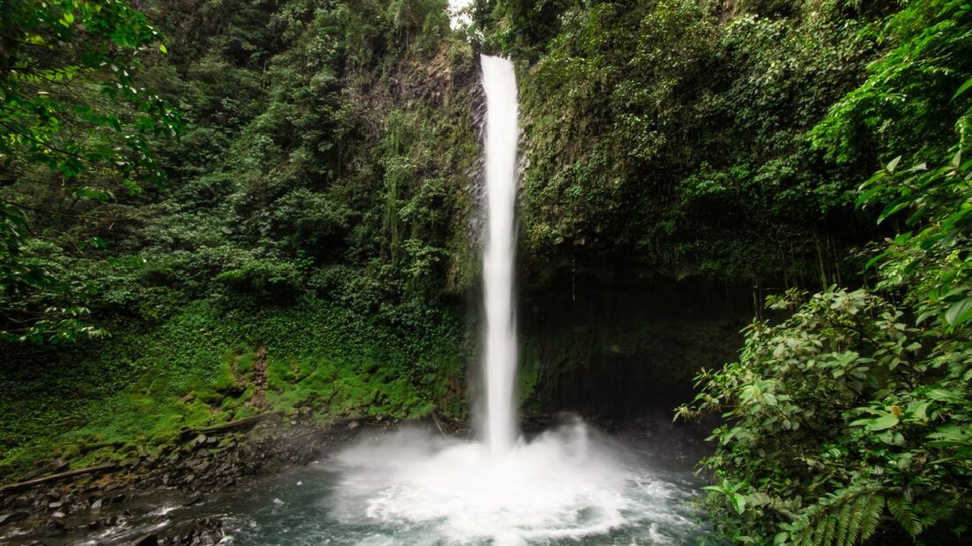 Click to view large image Classic Costa Rica