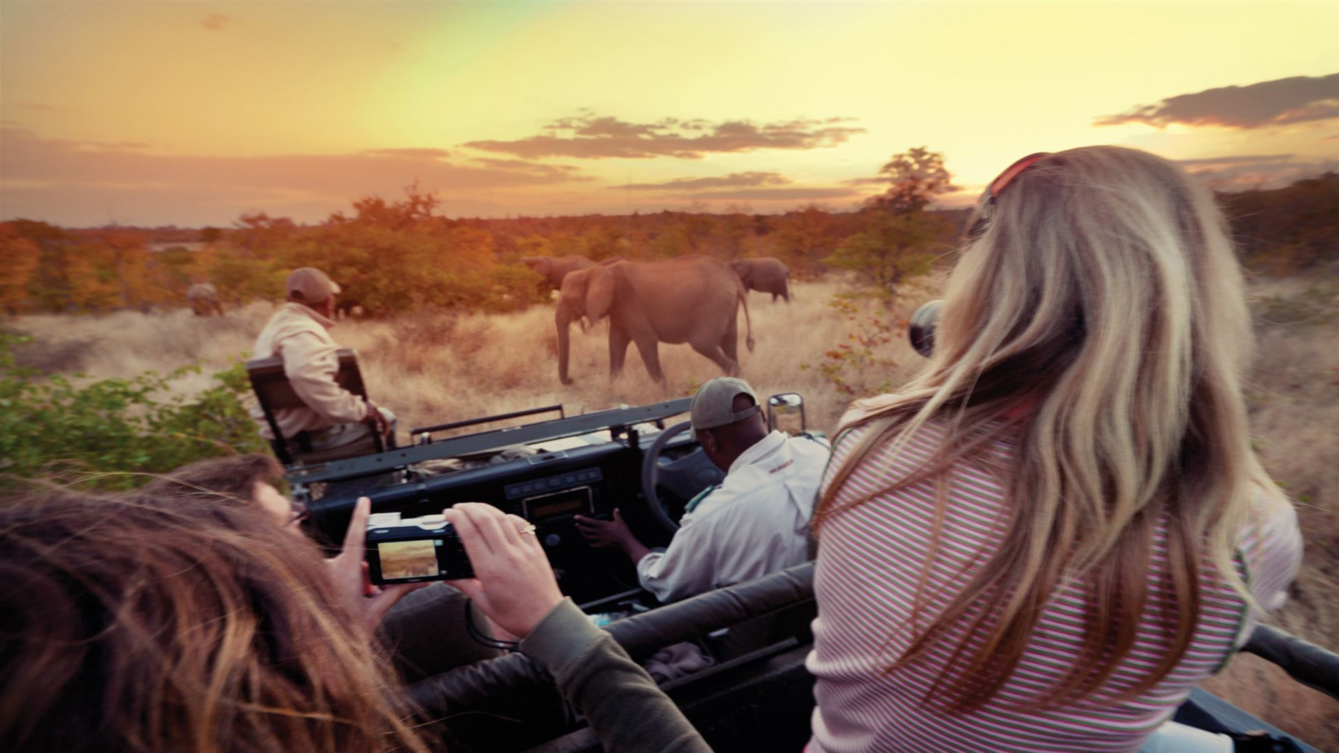Click to view large image Journeys: Explore Kruger National Park