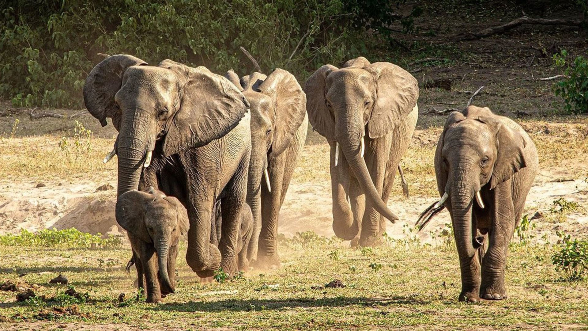 Click to view large image Zimbabwe to Kenya Overland Safari & Participation Camping