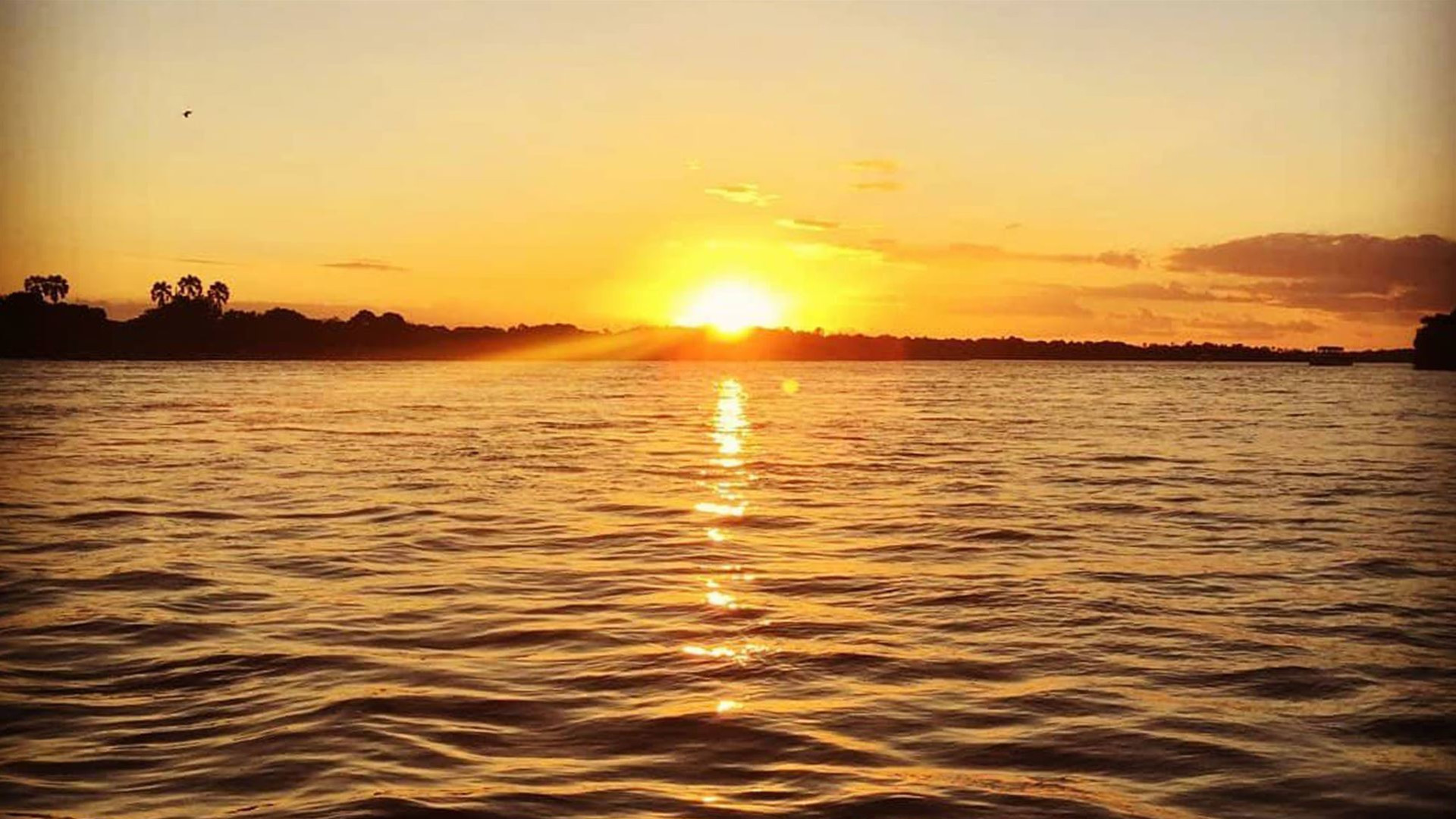 Click to view large image Delta & Falls Eastbound: Baobab Trees & River Views