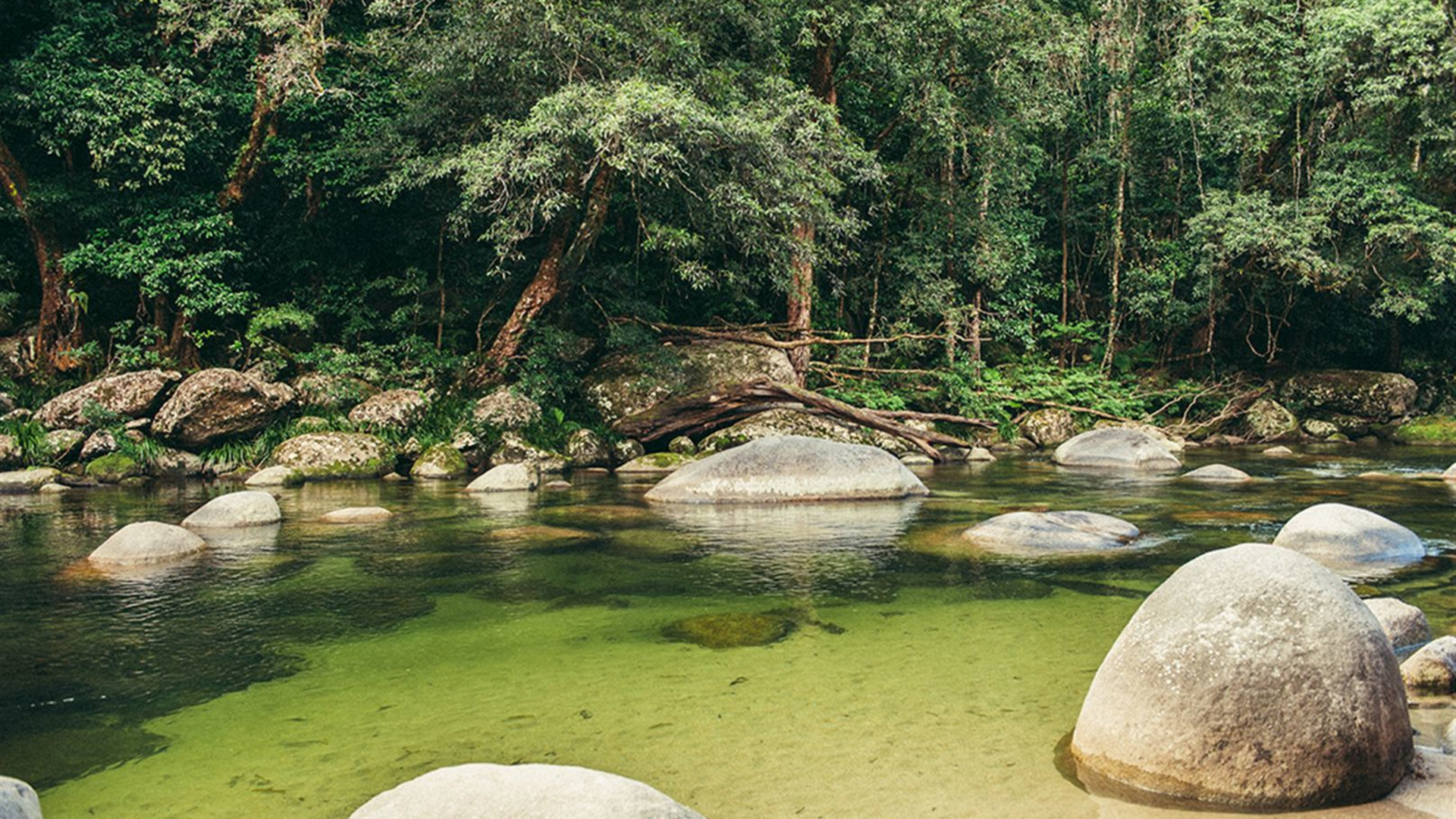 Click to view large image North Queensland Adventure