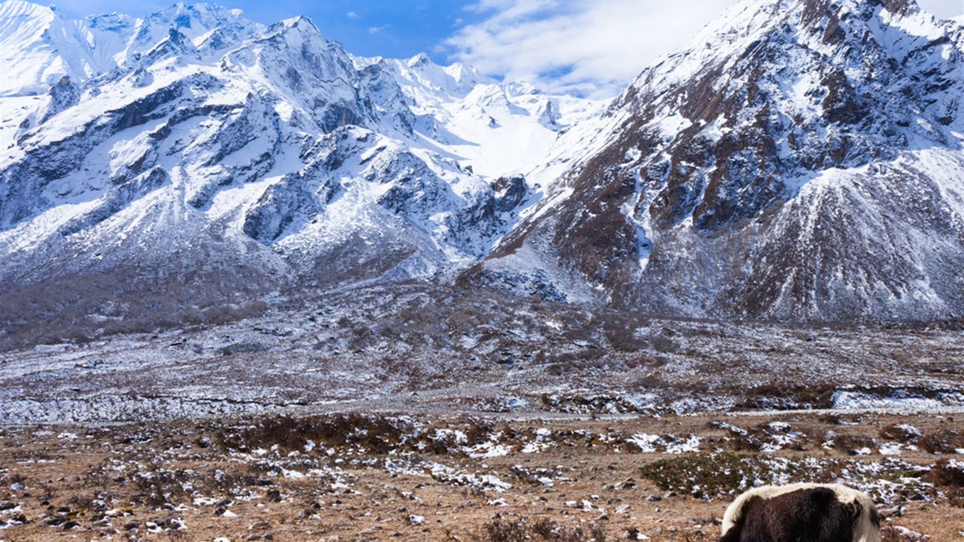 Click to view large image Annapurna Circuit Trek