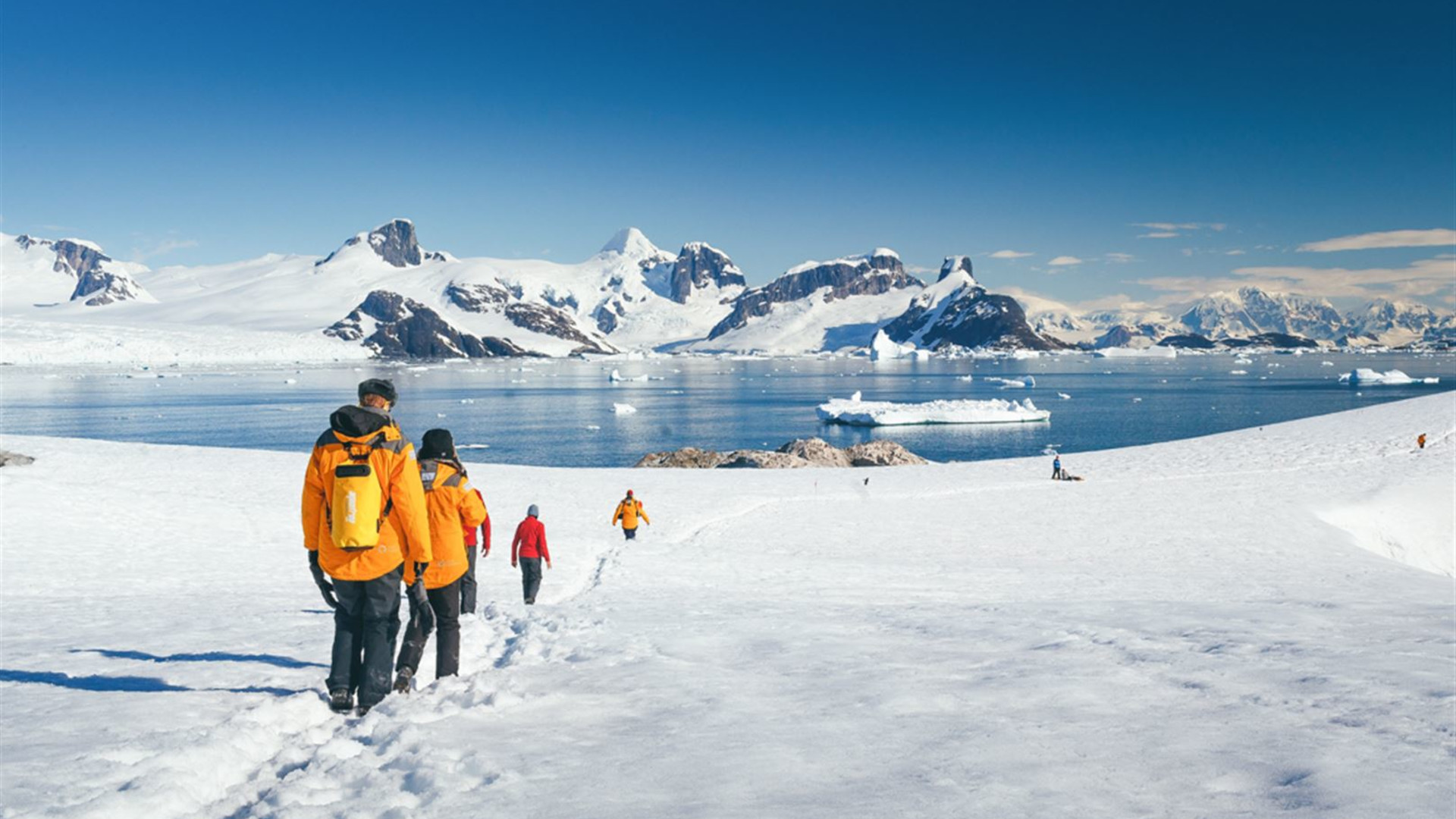 Click to view large image Falklands, South Georgia and Antarctica: Explorers and Kings