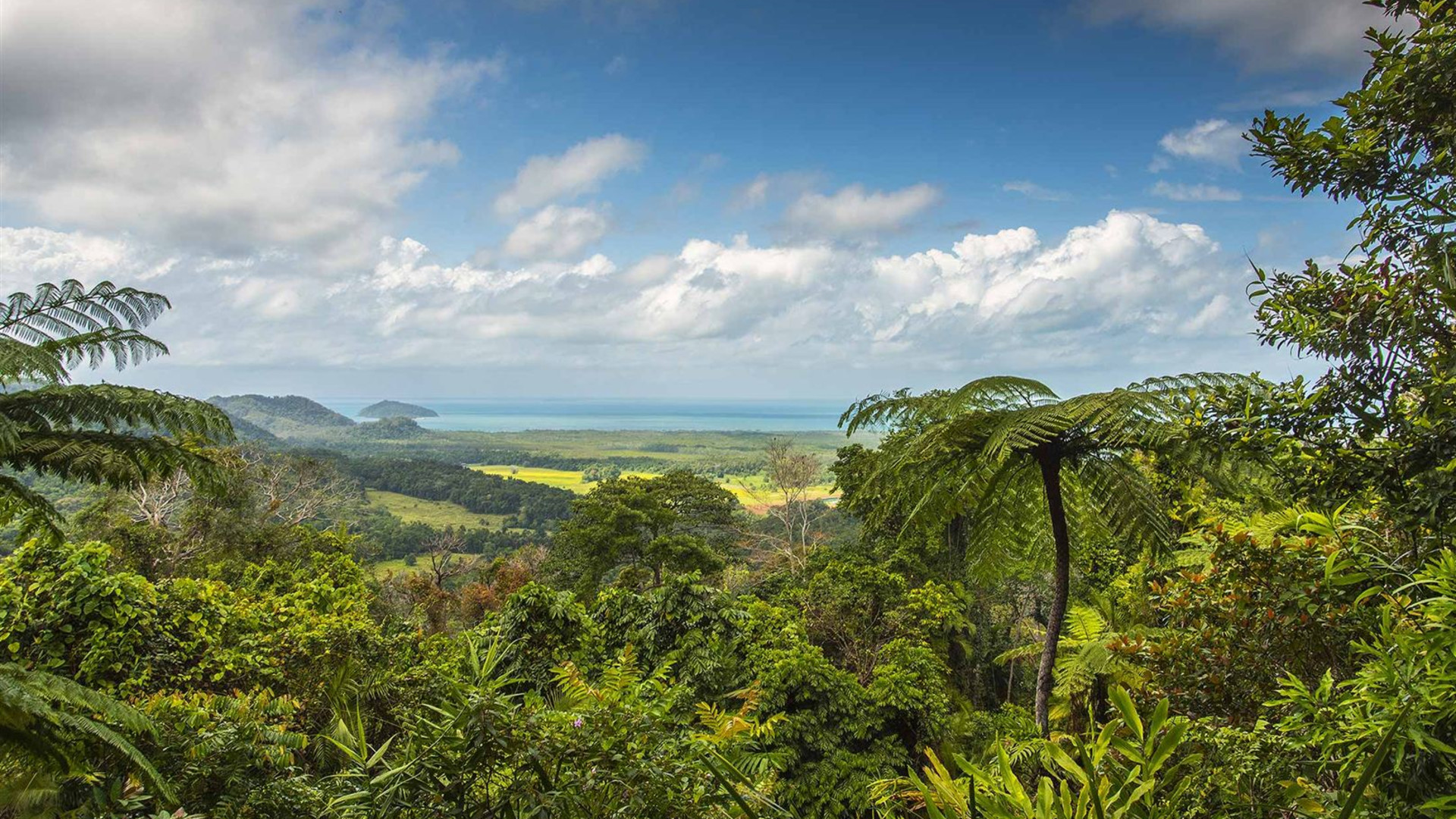 Click to view large image North Queensland Adventure