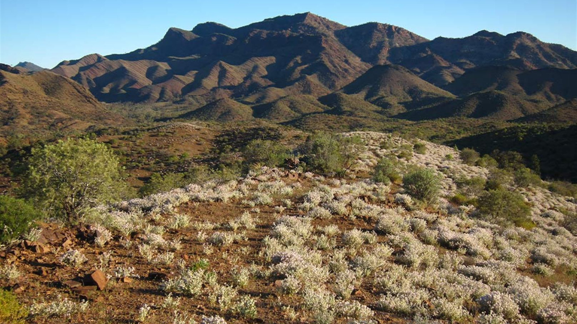 Click to view large image Walk South Australia's Flinders Ranges