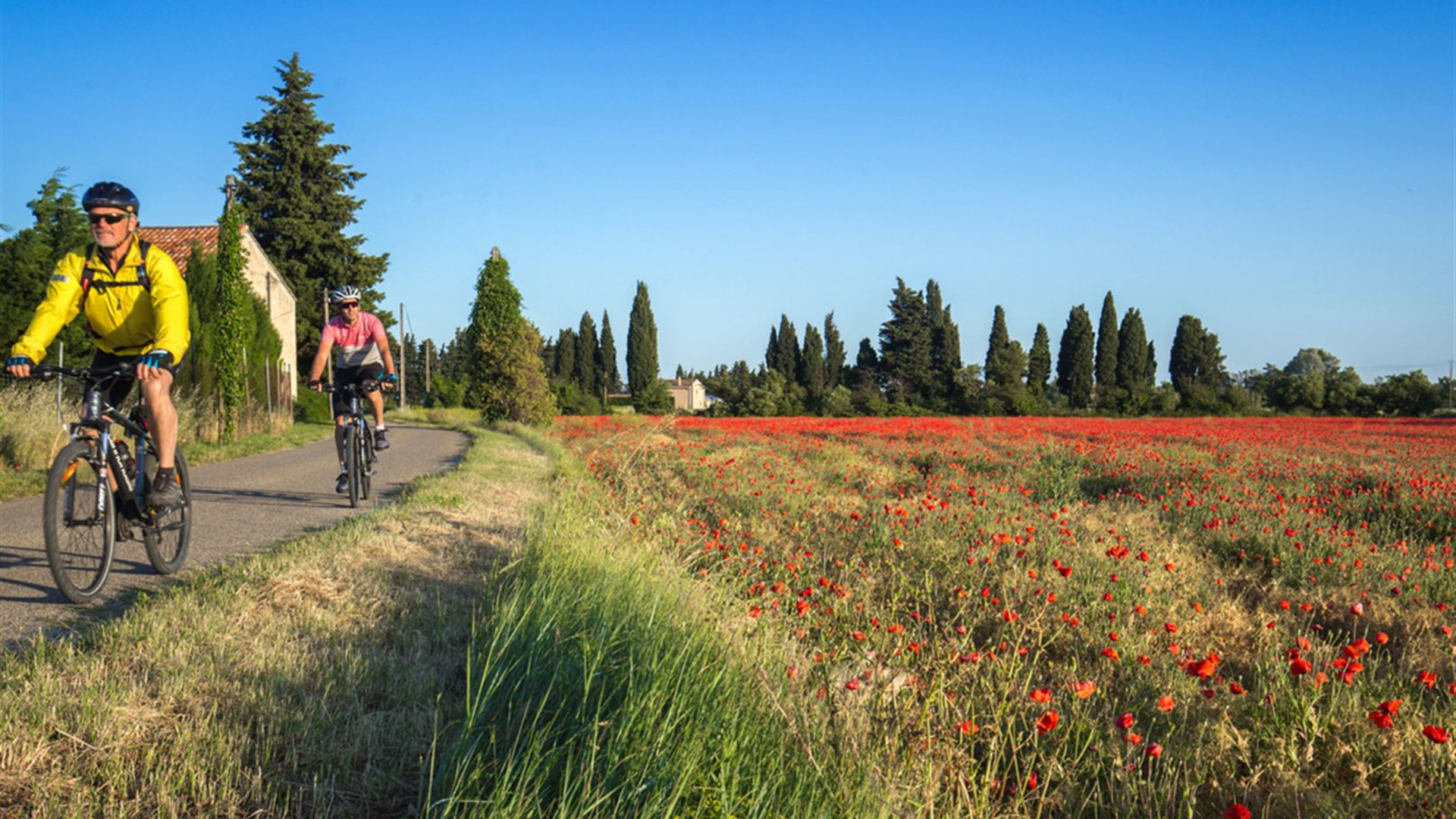 Click to view large image Cycle Provence