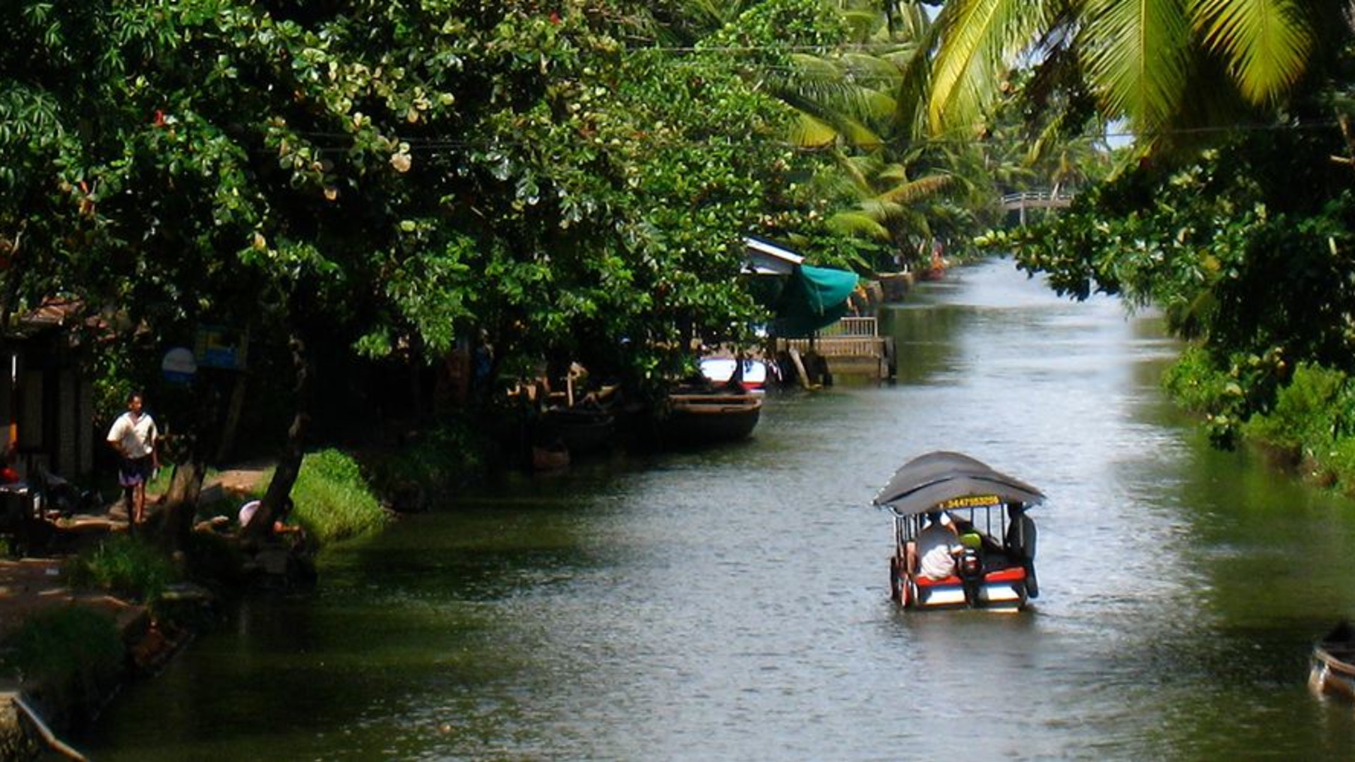 Click to view large image Premium South India