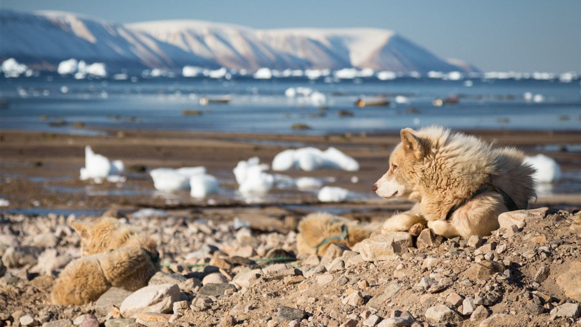 Click to view large image Northwest Passage: Epic High Arctic