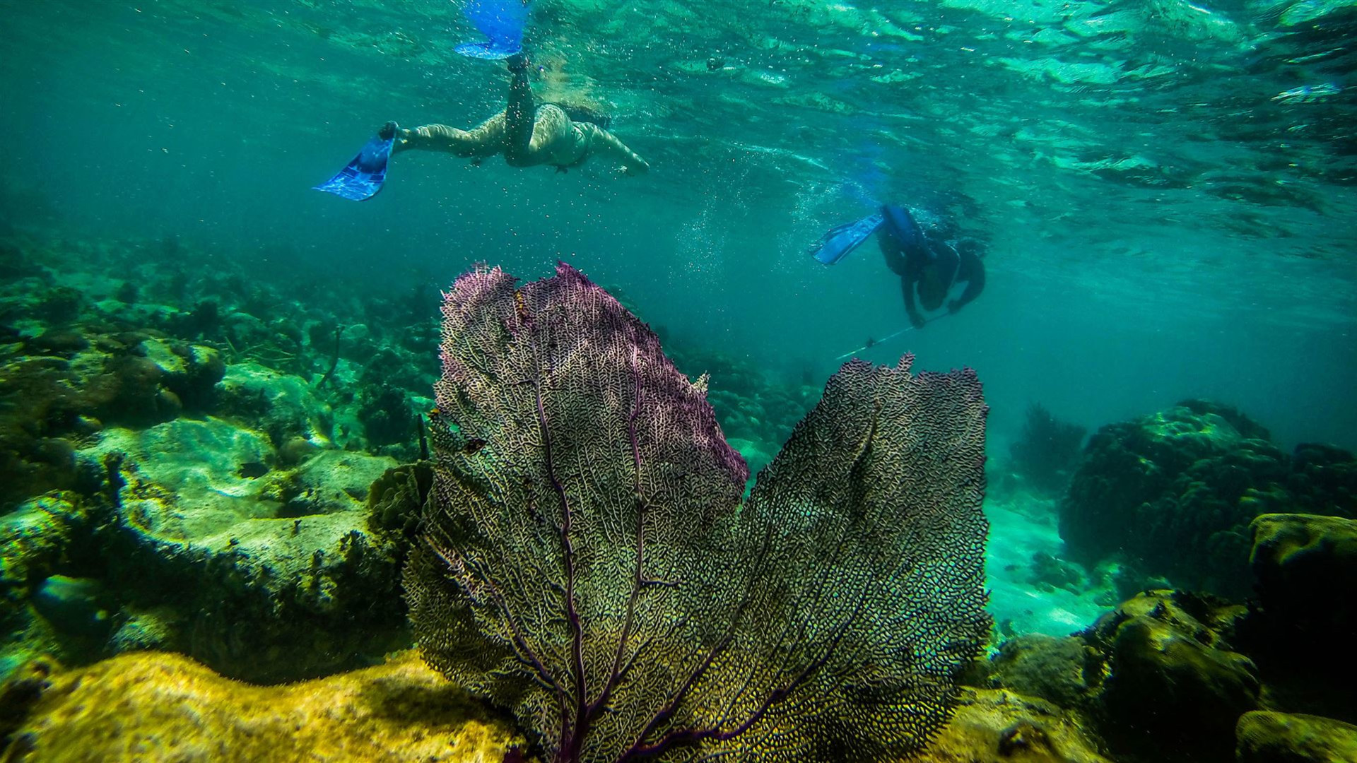 Click to view large image Journeys: Explore Belize