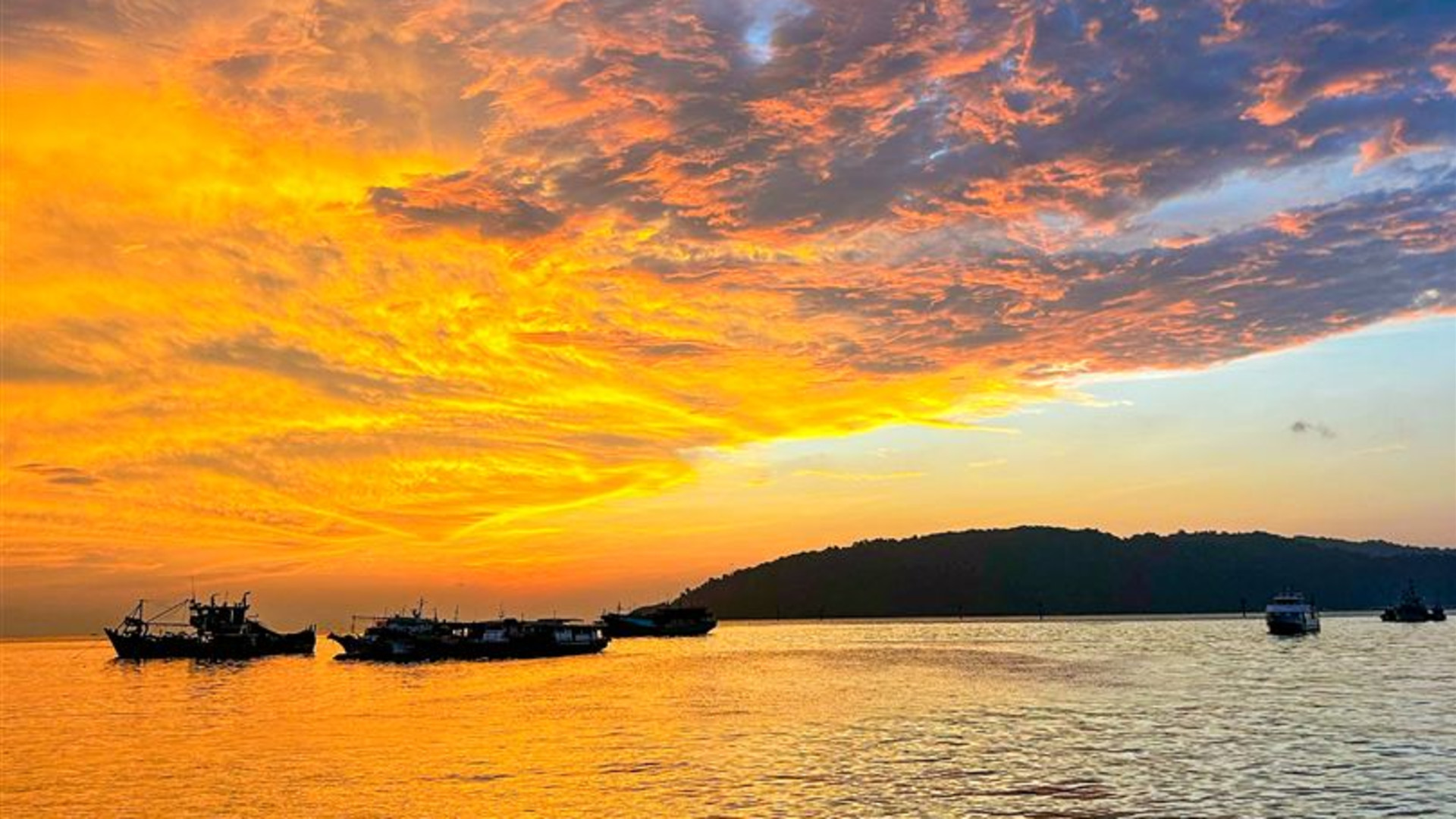 Click to view large image Borneo Wildlife Discoverer