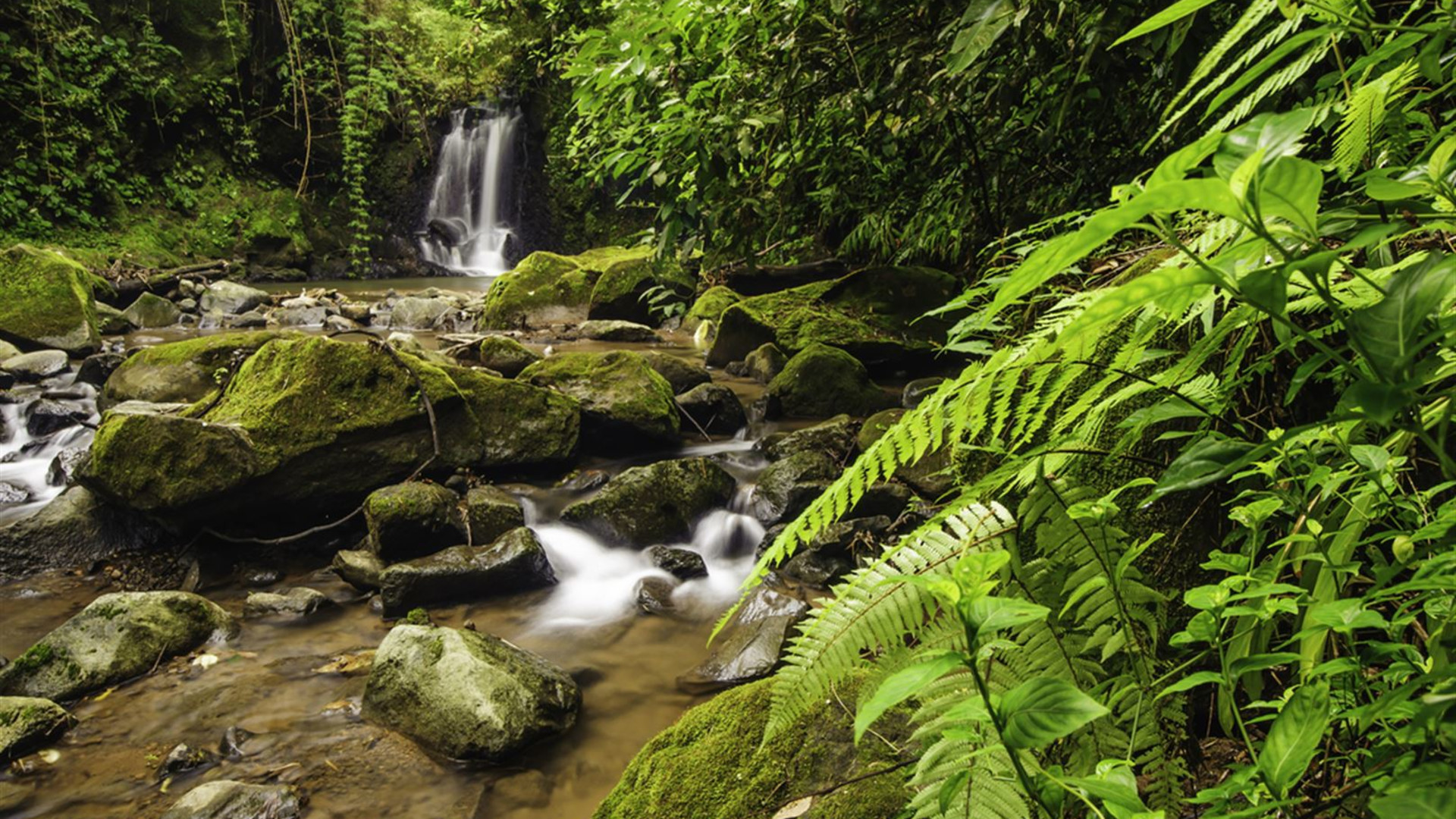 Click to view large image Best of Mexico & Costa Rica