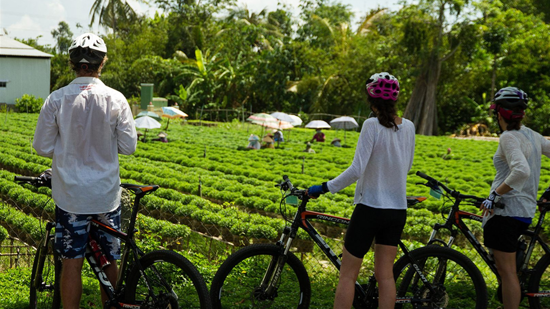 Click to view large image Cycle South East Asia