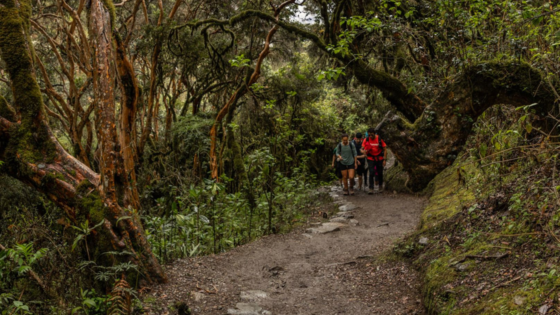 Click to view large image Inca Trail & Amazon Adventure