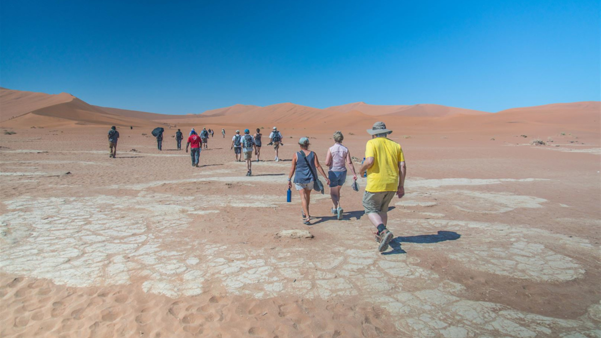 Click to view large image Namibia Discovery