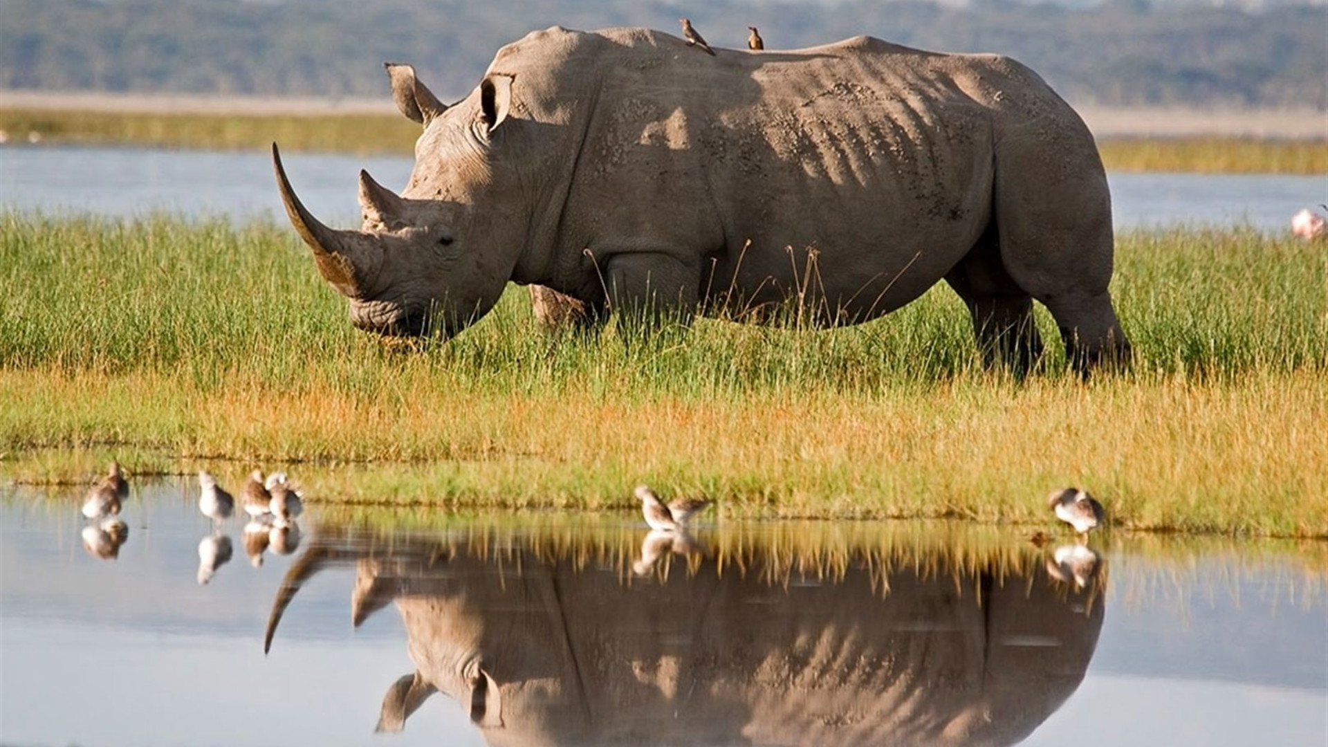 Click to view large image Best of East Africa