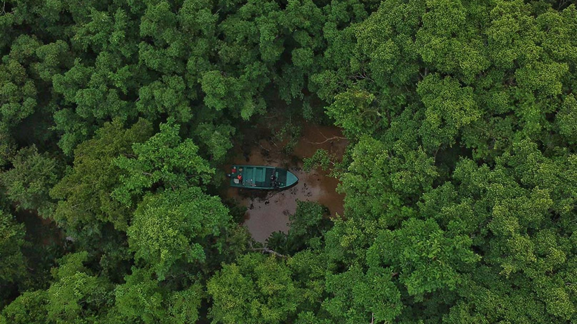 Click to view large image Premium Borneo in Depth