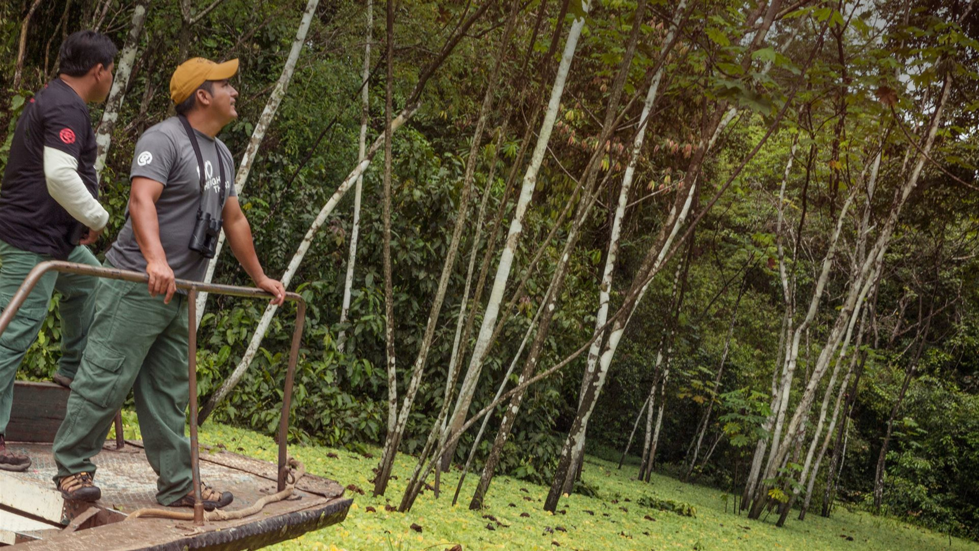 Click to view large image G Lodge Amazon - 5 Day Independent Adventure