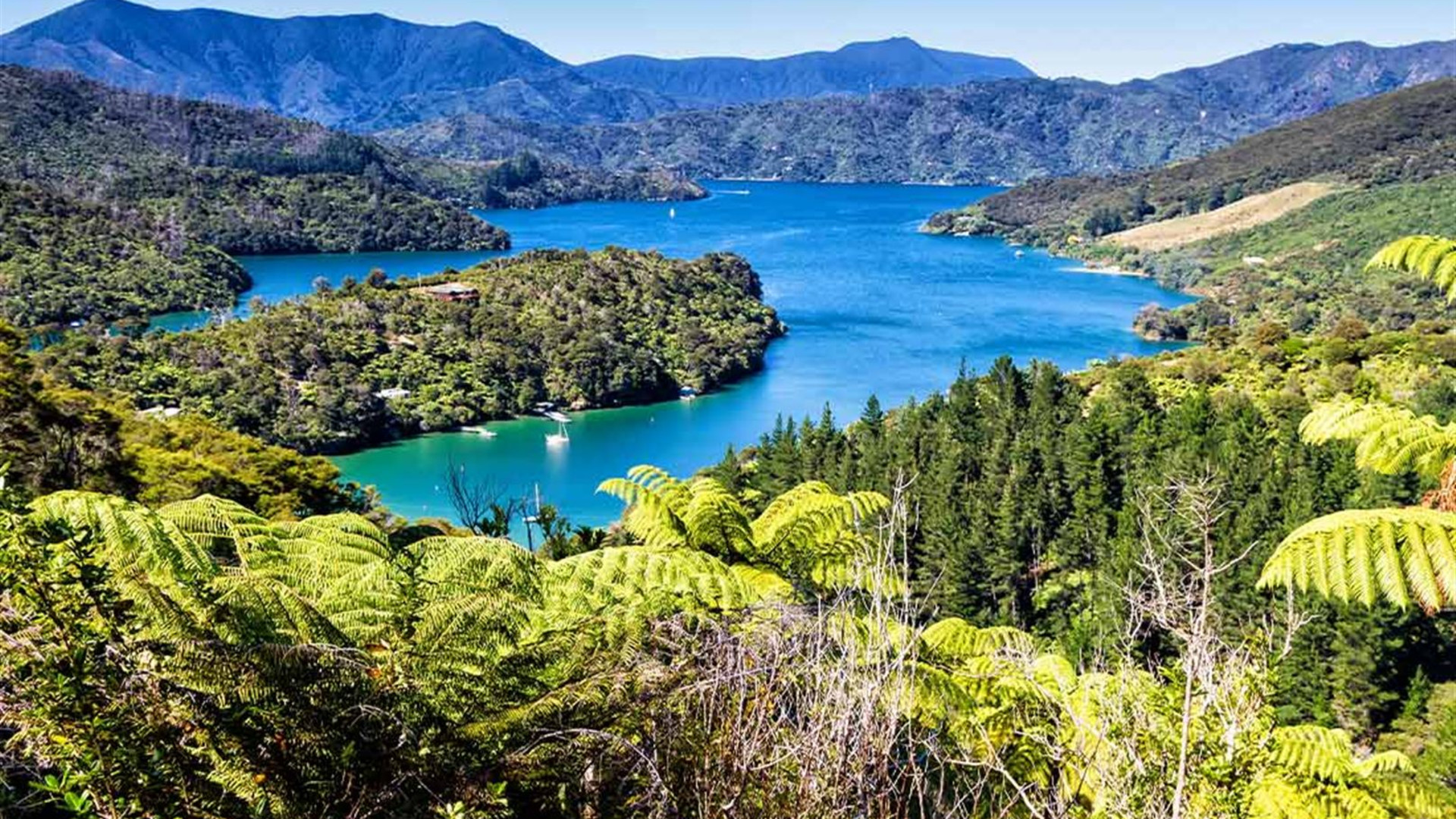 Click to view large image Walk New Zealand's Abel Tasman & Queen Charlotte