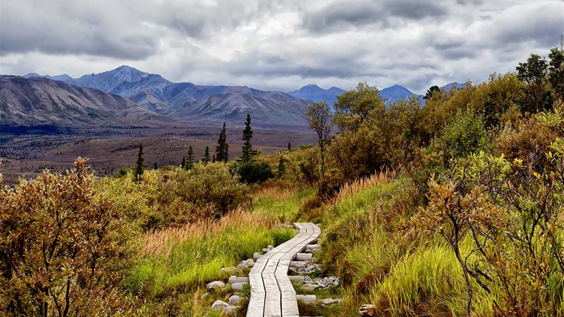 Click to view large image Alaska Hike, Bike & Kayak