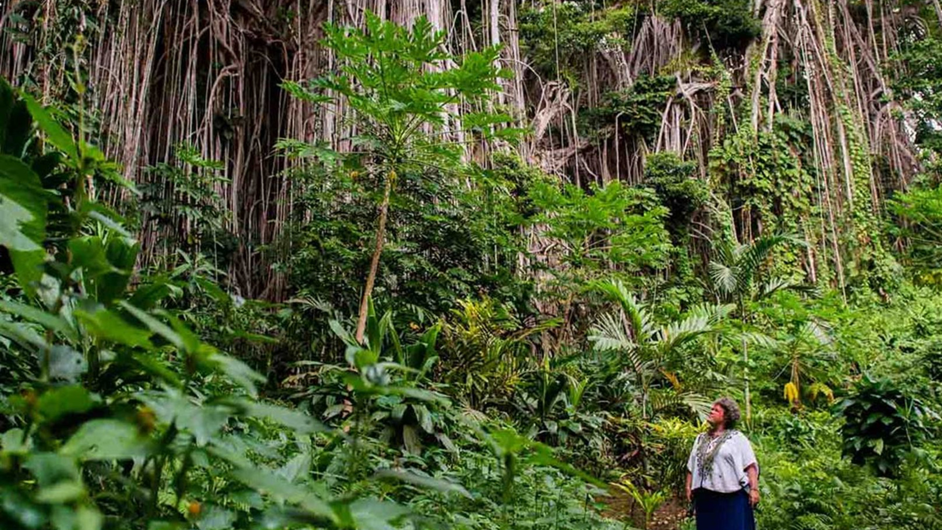 Click to view large image Vanuatu Expedition