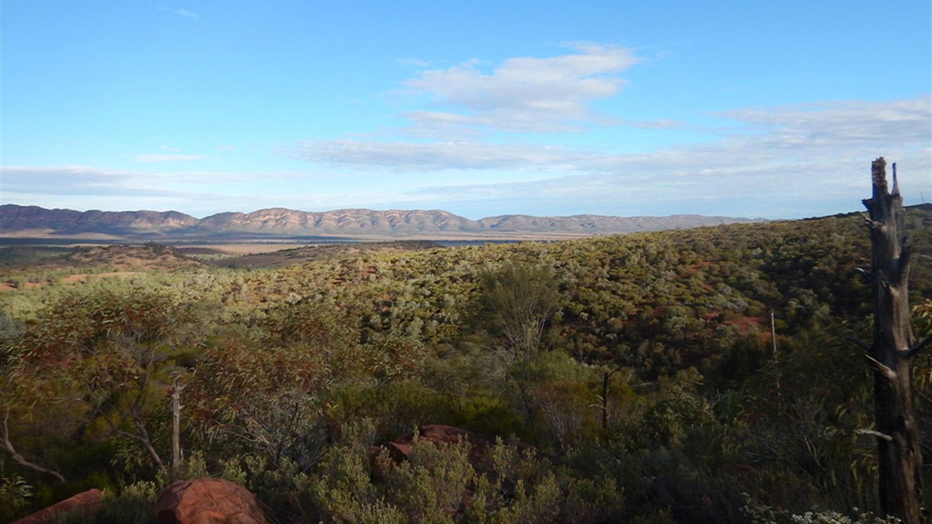 Click to view large image Walk South Australia's Flinders Ranges